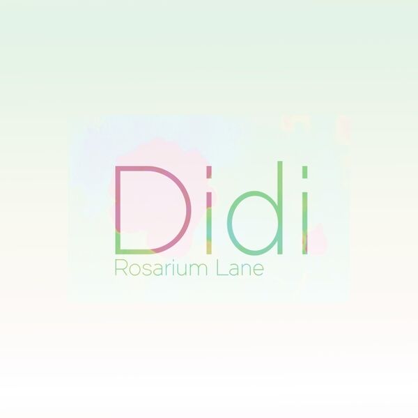 Cover art for Didi